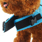 Dog Shark Fin Life Vest