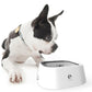 Anti-Spill Dog Water Bowl